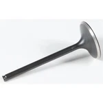 Kpmi Black Diamond Intake Valve 30-30220. Fixed Price $31.80.