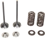 Moose Stainless Steel Valve And Spring Exhaust Kit W Seals Yamaha YZ250F 01-13. Fixed Price $217.95.