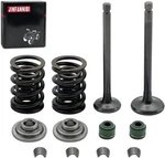 Cylinder Head Intake & Exhaust Valve Seal Springs For Honda XR80R XR100R 1986-03. Fixed Price $13.68.
