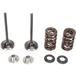 Moose Offroad Intake Valve Kit 0926-2439. Fixed Price $196.95.