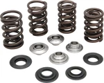 Kibblewhite Complete Valve Spring Kit .600IN Lift Harley Davidson Twin Cam 99-04. Fixed Price $143.58.