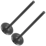 2X Intake Valve For Yamaha 5NL-12112-30-00 5NL-12112-00-00 5NL-12112-10-00. Fixed Price $19.00.