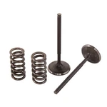 Pro 28.SES2440-1 Steel Exhaust Valve/spring Kit. Fixed Price $130.30.