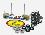 20+ Kawasaki Kibblewhite Head Intake Exhaust Valves Seals Springs. Fixed Price $299.98.