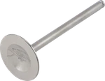 Xceldyne Exhaust Valve XEVM33006 High Performance Part. Fixed Price $77.75.