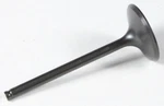 Kibblewhite Black Diamond Intake Valve Standard 40-40712. Fixed Price $53.30.