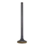 Oem Grade Exhaust Valve 86-88 1986-1988 Honda Atc 125 Trx 124CC 4-STROKE. Fixed Price $87.11.
