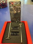 Xceldyne Vavetrain-valve Kit Int TRX400. Fixed Price $100.00.