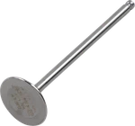 Del West DW-YZ250F-1IV02 Titanium Intake Valve Yamaha 2002-2009. Fixed Price $155.52.