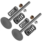 Caltric 0452384 0452383 0452390 0452389 Exhaust & Intake Valve Kit For Polaris. Fixed Price $32.99.