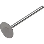 Del West Intake Valve DW-CRF150IV07ND. Fixed Price $147.35.
