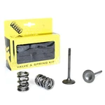 Pro Steel Valves And Spring Kits Exhaust 28.SES4406-1. Fixed Price $149.99.