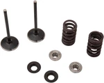 Moose F.e.a. Stainless Steel Valve And Spring Intake Kit Yamaha YZ250F 19-26. Fixed Price $196.95.