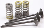 Pro X 28.SIS2402-2 Steel Valves And Spring Kits Intake. Fixed Price $212.95.