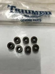 Genuine Triumph Daytona Trident Trophy Valve Stem Gasket 7 Piece XX5504. Fixed Price $46.66.