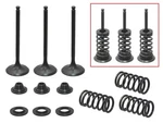 Psychic Intake Valve Kit XU-09524IK. Fixed Price $97.42.