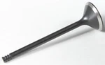 Kibblewhite Nitrided Valves 20-20555. Fixed Price $52.48.