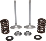 Kpmi Intake Valve Fits Spring Kit 40-40350 Enhanced Engine Performance. Fixed Price $184.95.
