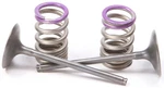 Pro X 28.SIS4336-2 Steel Valves And Spring Kits Intake. Fixed Price $155.95.