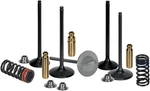 Xceldyne Exhaust Valve (1MM Oversize) - Titanium XEVM13000. Fixed Price $196.99.