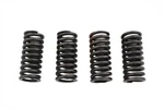 Valve Spring Set For Harley-davidson. Fixed Price $54.99.