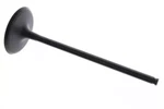 2006-2024 Kawasaki EX650 Ninja Oem Cylinder Head Intake Valve 12004-0706. Fixed Price $24.99.