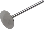 Del West DW-KX250FIV09ND Titanium Intake Valve Kawasaki 09-16. Fixed Price $155.52.