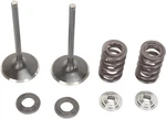 Moose F.e.a. Ss Valve And Spring Intake Kit Honda CRF450R 02-08. Fixed Price $196.95.