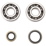 Pro X Crankshaft Main Bearing And Seal Kit For Suzuki RM125 1999-2007. Fixed Price $63.99.