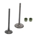 Head Intake Exhaust Valves Seals For Cg 250CC Pit Bike Dirt Atv Quad Bashan. Fixed Price $14.62.