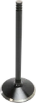 Kibblewhite Nitrided Valve 20-20550. Fixed Price $53.30.