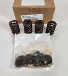 2005-2017 Harley Davidson Twincam Screaming Eagle Race Valve Spring Kit 18344-05. Fixed Price $146.99.