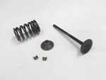 1994-2003 Honda Magna Vf 750 Engine Exhaust Valve Spring Oem 14721-MY3-000. Fixed Price $39.99.