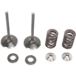 Moose Valve And Spring Kit Honda CRF450X XF-2-0926-2429. Fixed Price $196.95.