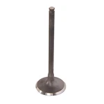 Pro X Titanium Intake Valve 28.6333-2. Fixed Price $76.99.