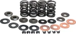 Kibblewhite Lightweight Racing Valve Spring Kit Steel 20-20364 Old. Fixed Price $138.68.