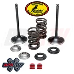 08-20 Suzuki Stock Kibblewhite Intake Valves Titanium Springs Kit. Fixed Price $168.98.