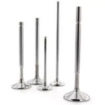 Ferrea For 02-03 Harley-davidson Vrsca Rod Intake Valve Set 41MM Head,. Fixed Price $138.99.