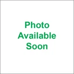 Andrews V4 Grind Cam Evolution Xl Sportster 6500 Rpm Stock Hydraulic 298140. Fixed Price $474.99.