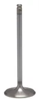 Kpmi 60-60213H White Diamond Exhaust Valve Fits Suzuki. Fixed Price $46.34.