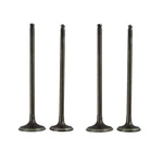 Pair Intake Exhaust Valves Stem For KLX250 1992-2015/KAWASAKI KLX300 1997-2007. Fixed Price $46.92.