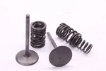2017 Kawasaki KX450F KX450HHF Intake Valve & Spring Set 49078-0018. Fixed Price $64.95.