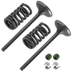 2X Exhaust Valve Kit For Honda CRF450R 2007-2008 / 14721-MEN-A00 14752-MEB-670. Fixed Price $55.78.