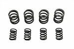 Valve Spring Set For Harley Davidson By V-twin. Fixed Price $50.07.