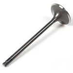 Pro Steel Intake Valve CSB1WUJ-X001-Y007. Fixed Price $23.79.