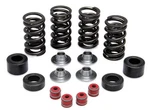 Kibblewhite Precision 30-31450 Valve Spring Kit Oem Replacement. Fixed Price $163.48.