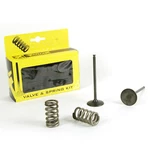 Pro Steel Intake Valve And Spring Kit Set Fits Ktm 250 Sx-f 2013-2015. Fixed Price $139.99.
