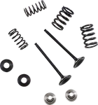 Moose Offroad Exhaust Valve And Spring Kit 0926-3193 Yamaha YZ250FX. Fixed Price $196.95.