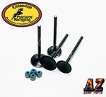 Polaris Predator 500 Kibblewhite Head Intake & Exhaust Valves Seals 2003-2007. Fixed Price $129.98.