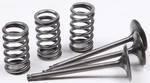 Pro X 28.SIS2424-2 Steel Valves And Spring Kits Intake. Fixed Price $212.95.